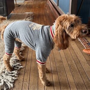 Roots Canada x Canada Pooch Gray Dog Onesie with Red Trim